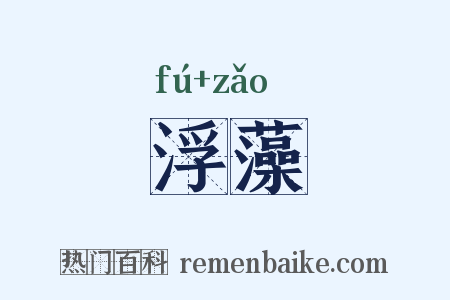 浮藻是什么意思的图片